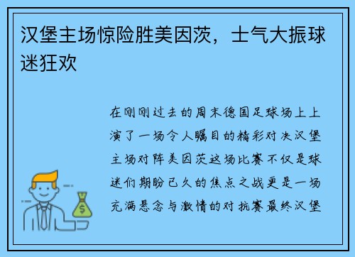 汉堡主场惊险胜美因茨，士气大振球迷狂欢